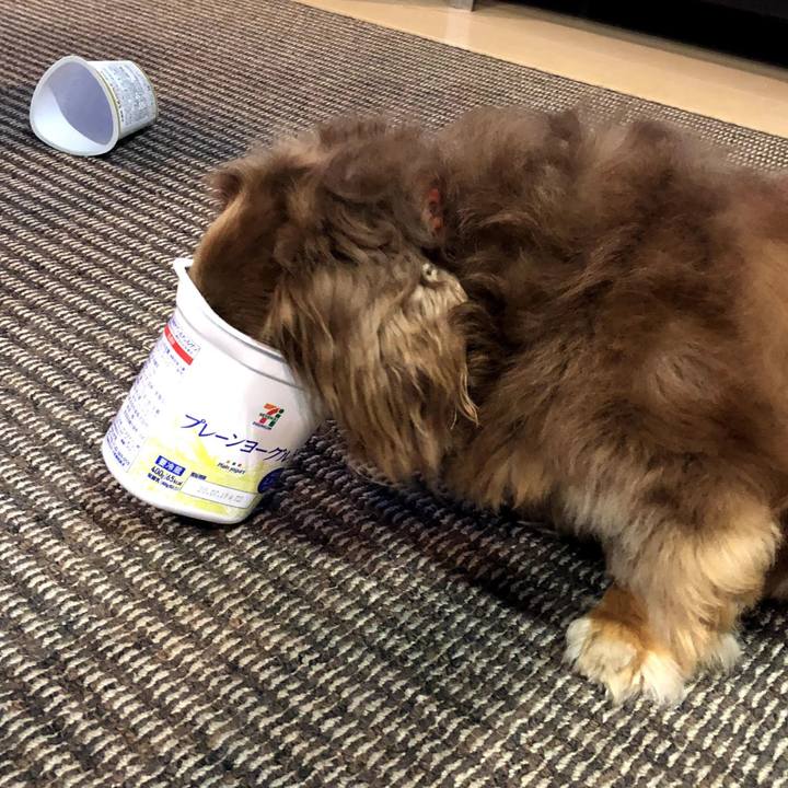 3662c773 53f9 4eb7 8d20 f4feff97ad7d 1594439383599