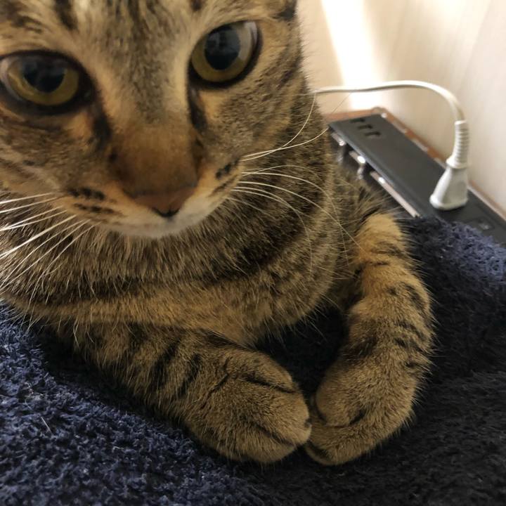 3662cdee 6cf0 4283 ba3c 0aeff0695ed7 1545656954550