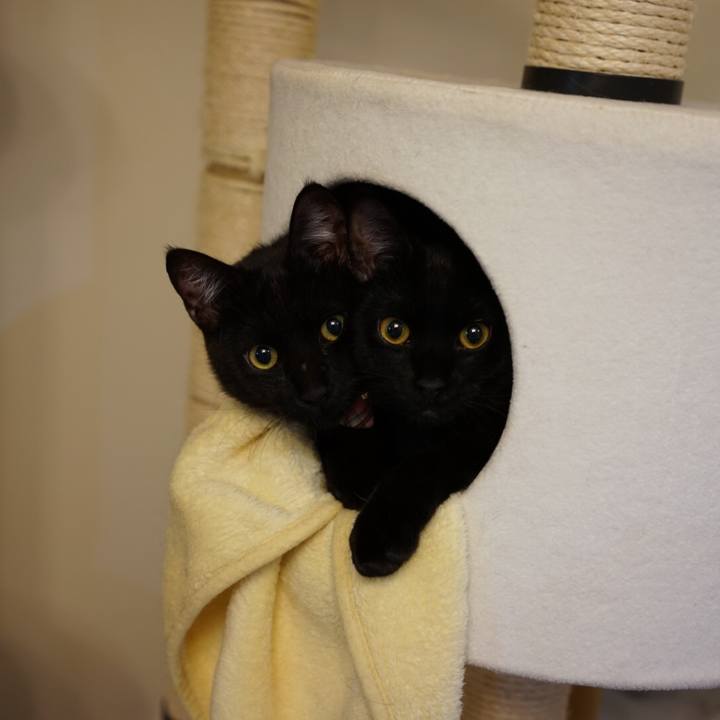 3662eb3e 7bbc 4677 a29e ae82f03a902f 1513001628629