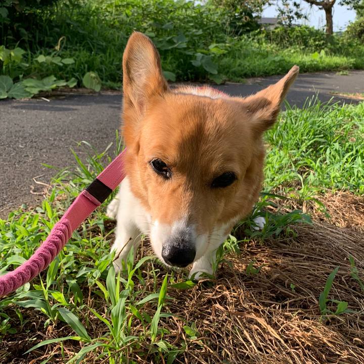 366335e3 7553 44e2 9a47 8c4a8f33b561 1689978212383