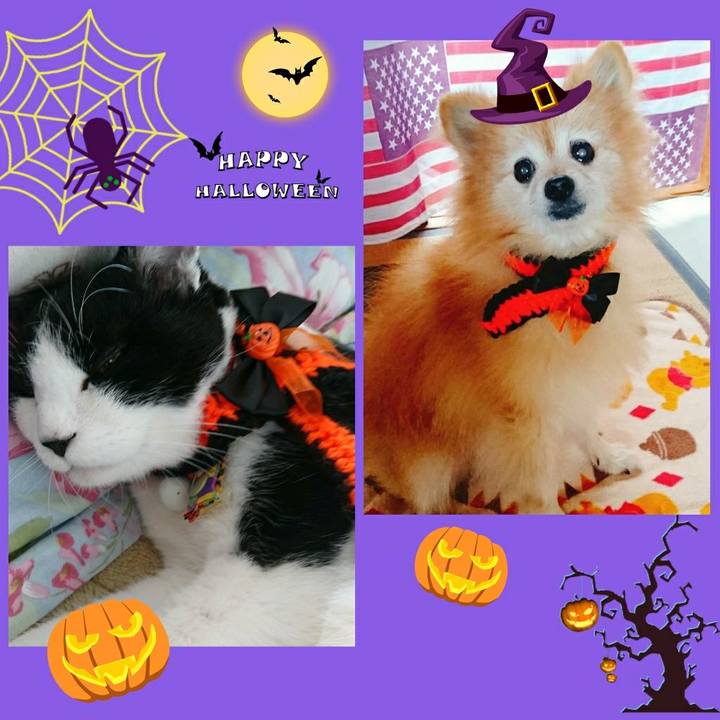 366338a5 cde7 45d6 aeb9 57f91209f5b1 1572506790075