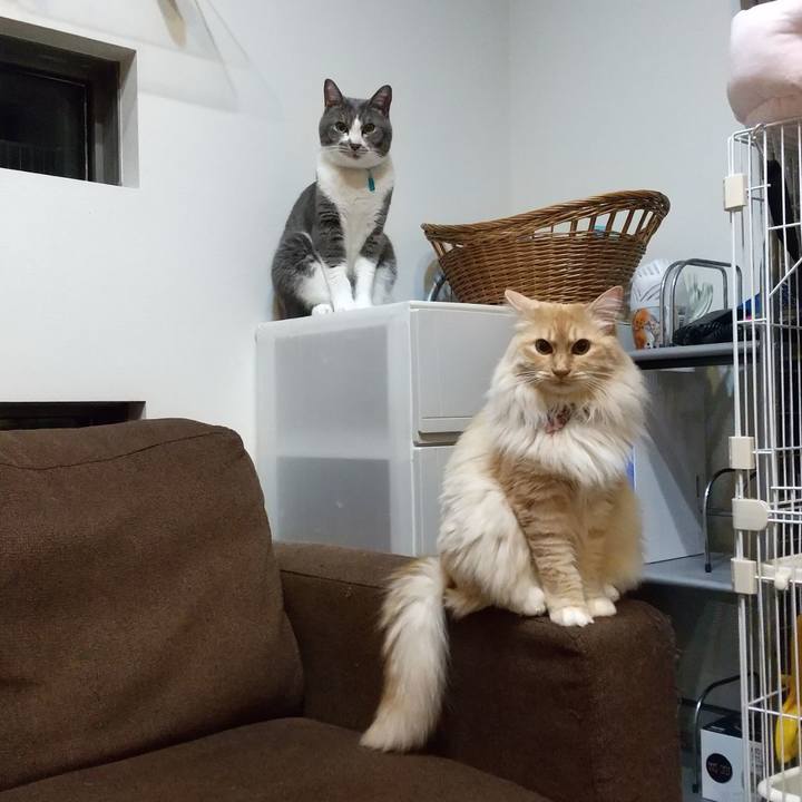 36635d10 8ecb 42c5 a16f 26b406373f19 1652361782218