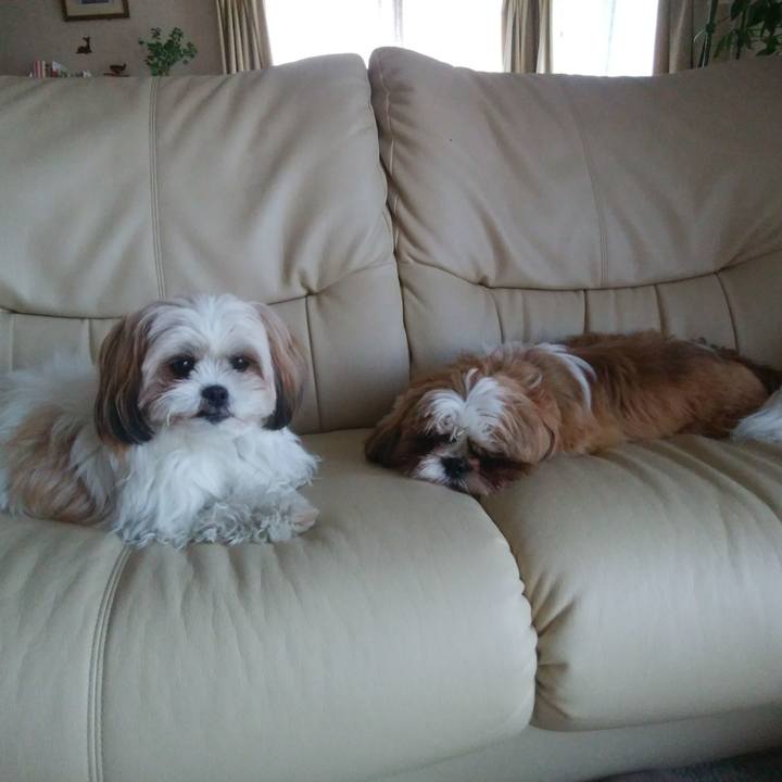 36636d76 8eea 43cd 8096 01c33ff401ba 1550704021862