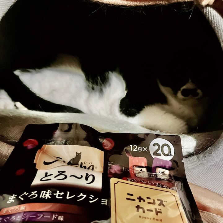 3663b82b 81d2 464e bcb0 d6f4faa65170 1675503024585