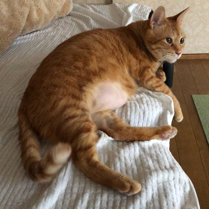 3663bfcc c52e 45bb a50e c13e3649ba6b 1634073469724