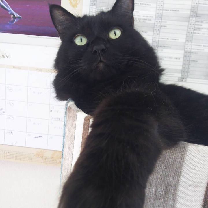 3663cbba af77 49c4 9619 cd6bba5dbbe5 1537009558515