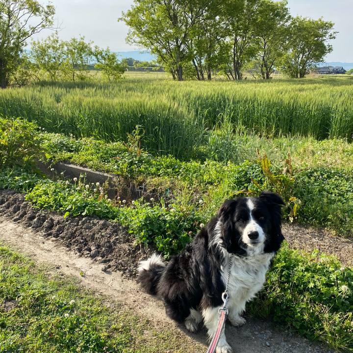 3663dff6 e821 4c7c 9fd9 f1a4c8b665b9 1650328959247