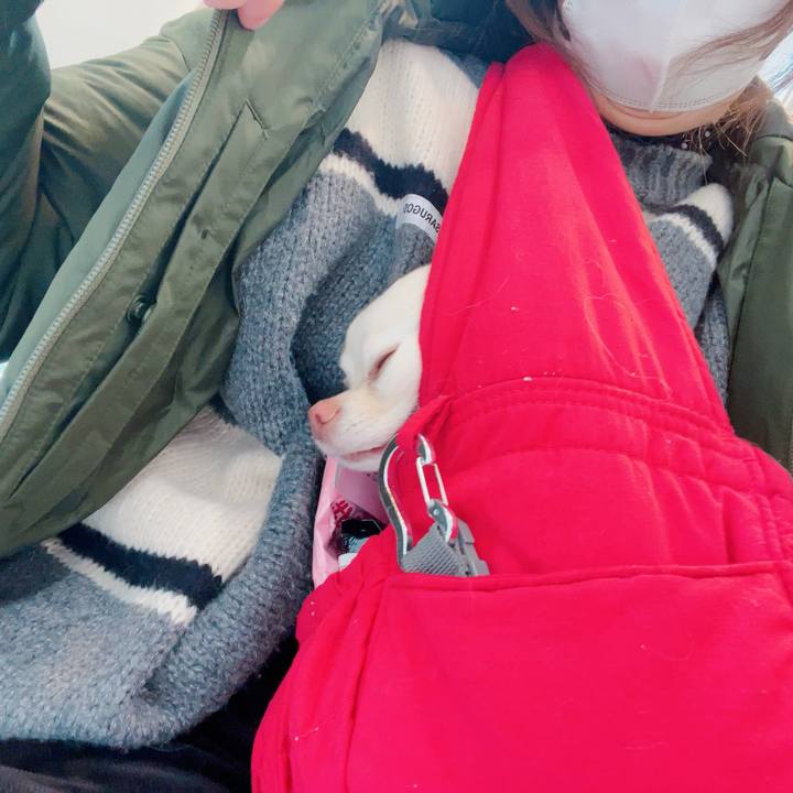 3663fb78 a6df 4164 9b11 97597fe2c1a1 1706845826974