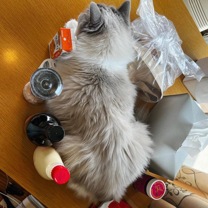 3663ff11 ef89 4399 9743 1846a10ce7f3 1653702066823