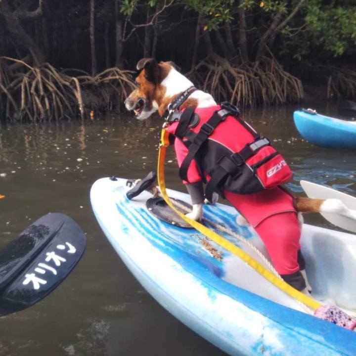 36644532 81d3 41f8 8319 32b85c080461 1572929904615