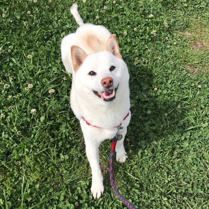 36647f72 57c3 4c0b a95d 09c92122a98b 1523516112522