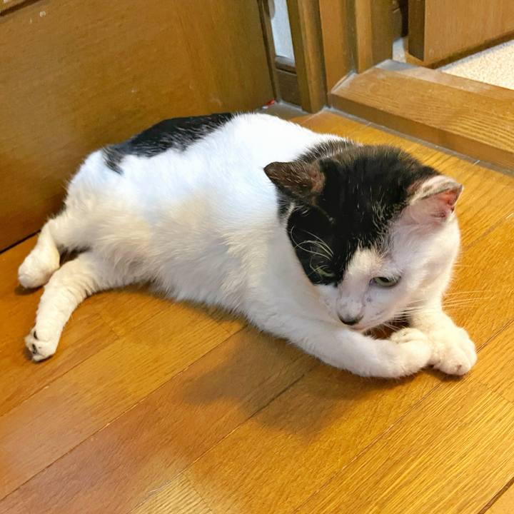 3664a55e bb8e 4651 8874 e02427588f8a 1753916159995