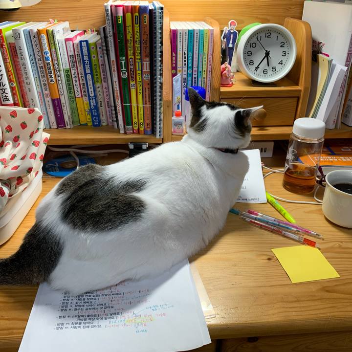 3664d377 5513 4b66 9741 f6c8d2fbe44b 1635367225202