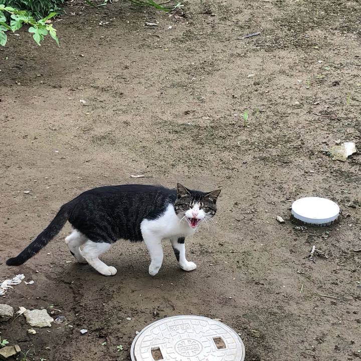 3664e0f5 9420 4549 8da3 9ea1a7be6e9c 1562294282456