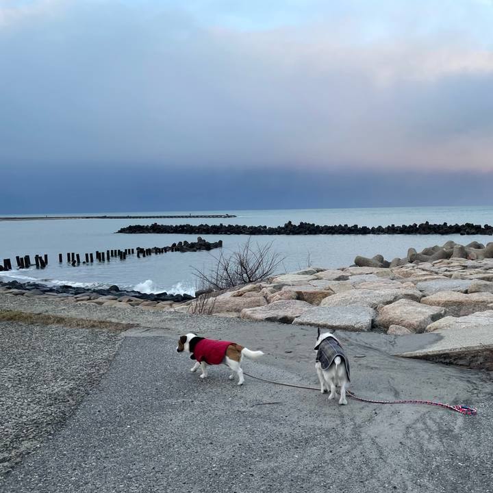 3664ee1f 2b43 452a 88f7 9b2806b18b83 1734736274604