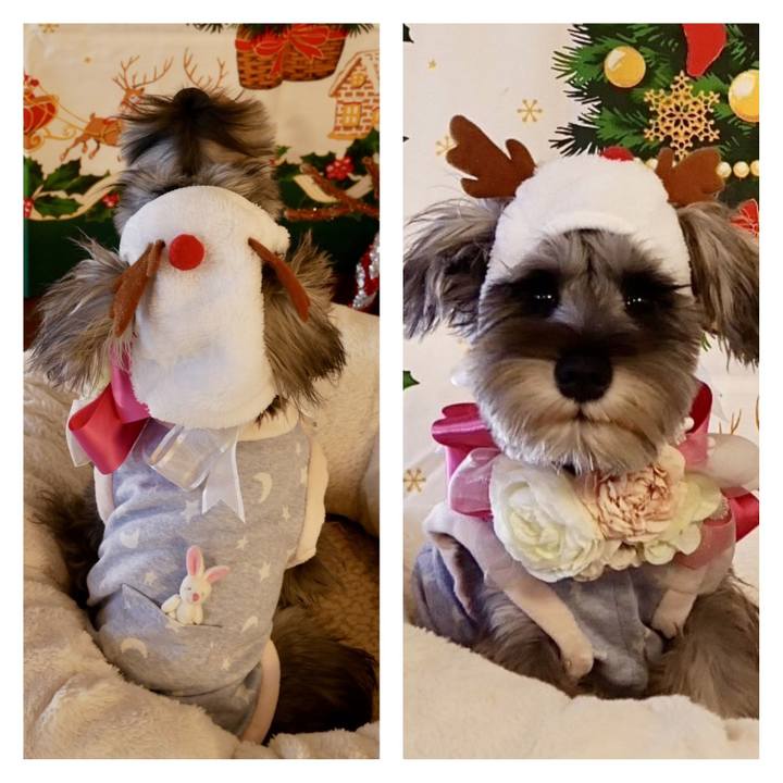 3664eec3 ffcc 4c89 85a8 99fe98469d0a 1702333401668