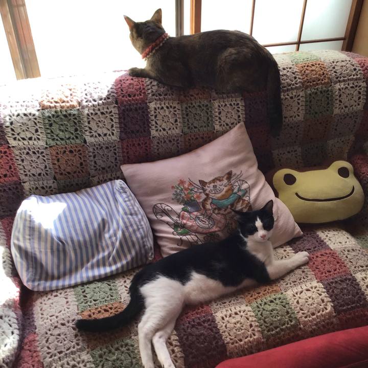 36650800 ad6e 4303 a411 2b8b834d0d4d 1632112196740