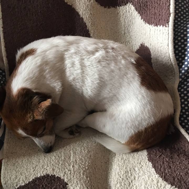 366517b8 c577 4e46 aa54 25053e311888 1513085478821