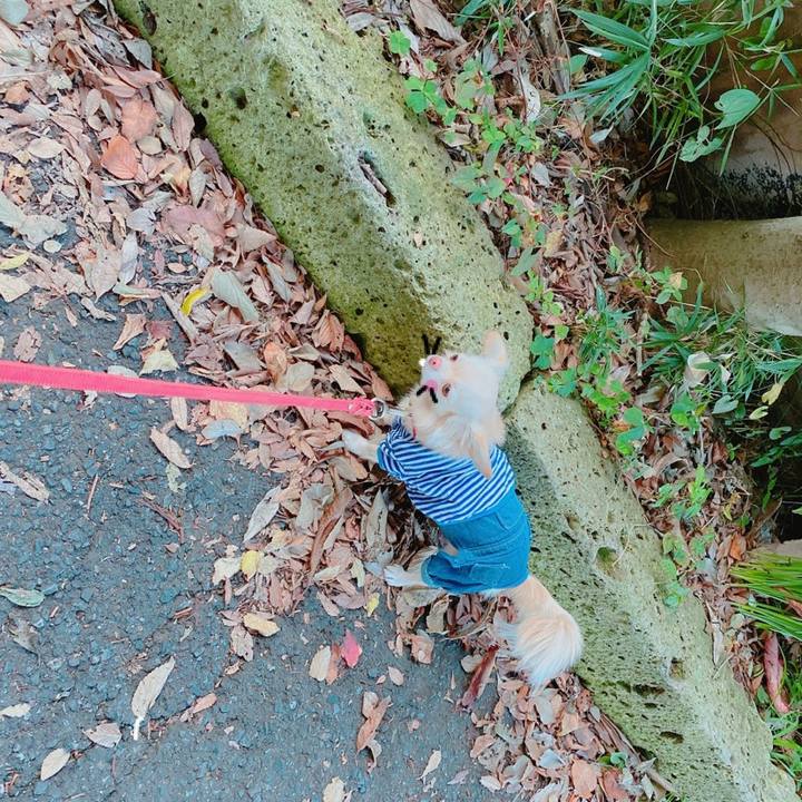 366555ad 99d1 4fff 8178 d772221a74f0 1636005596852