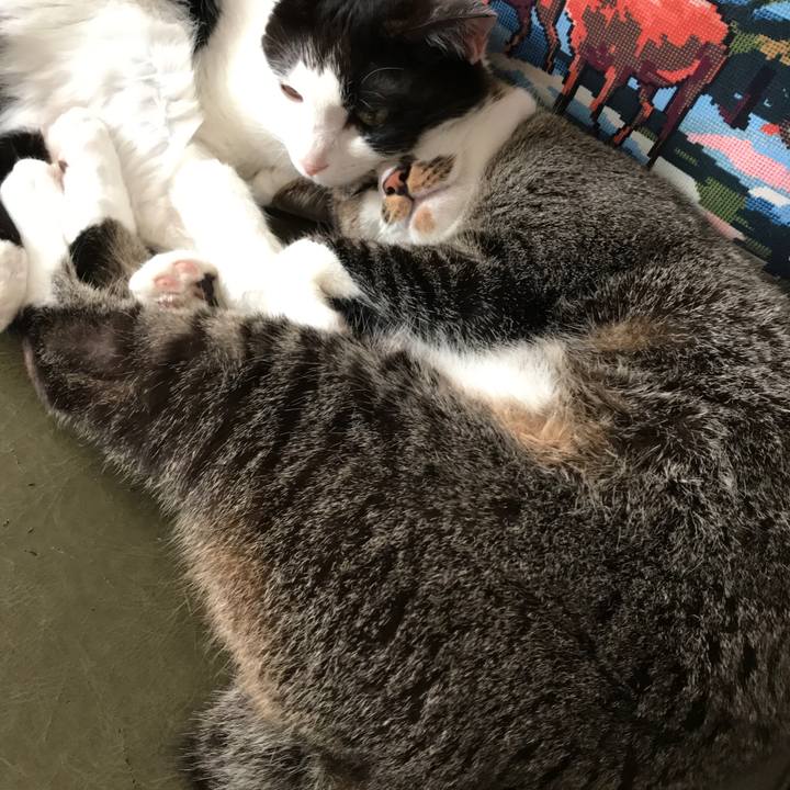 3665595d 2995 440b 95bf 3842a2eacca4 1524709498878