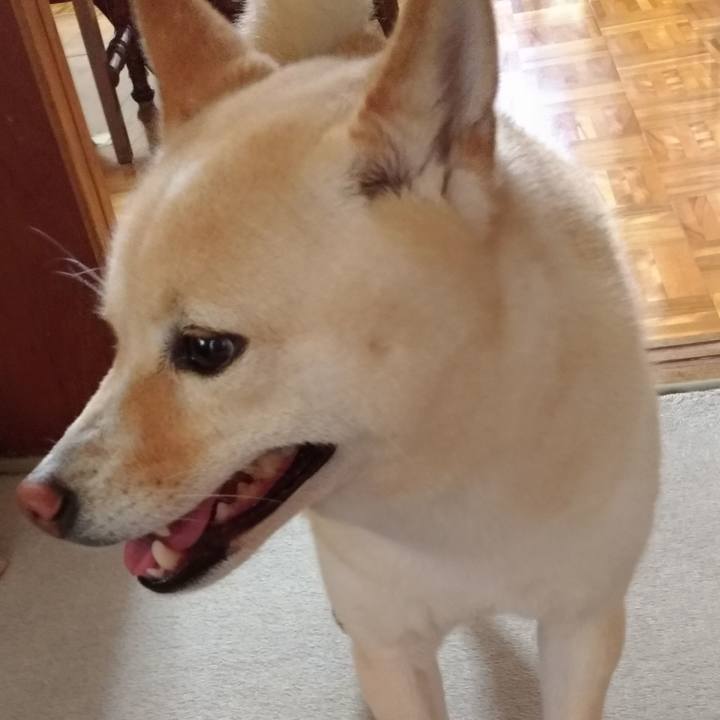 366563ef 870c 4bae a6dd a03edc5e5d88 1592344875106