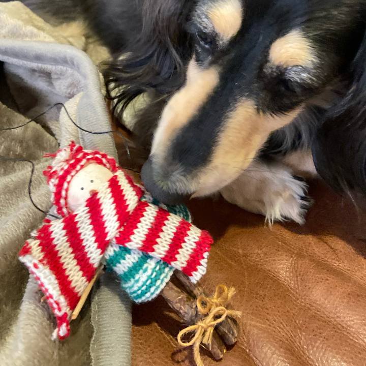 3665855e 9f7a 476c 9d28 24614cda777e 1766642819309