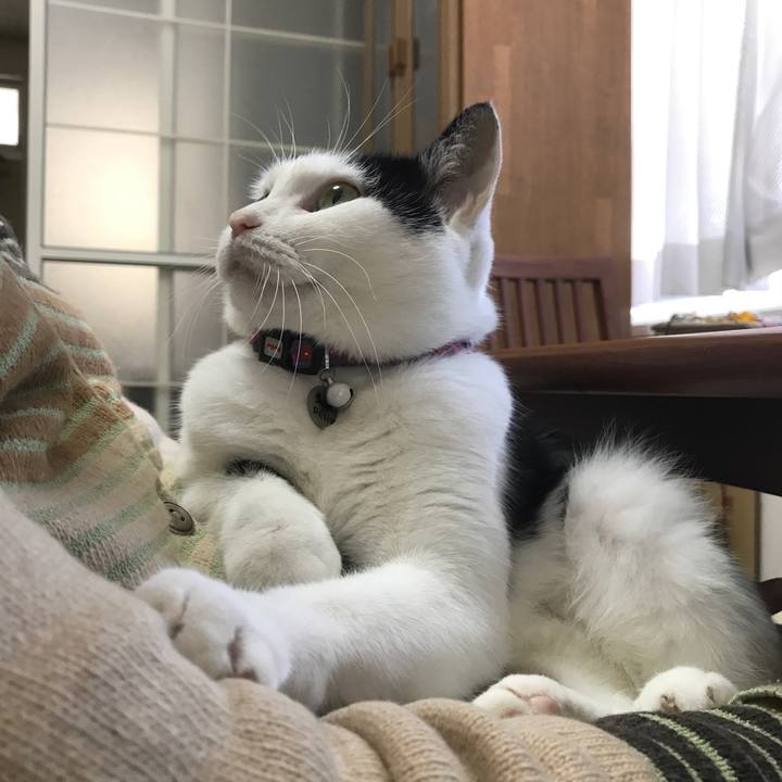 36659d0a 0ca6 4b06 afa2 a79384b9b6a7 1510488716202