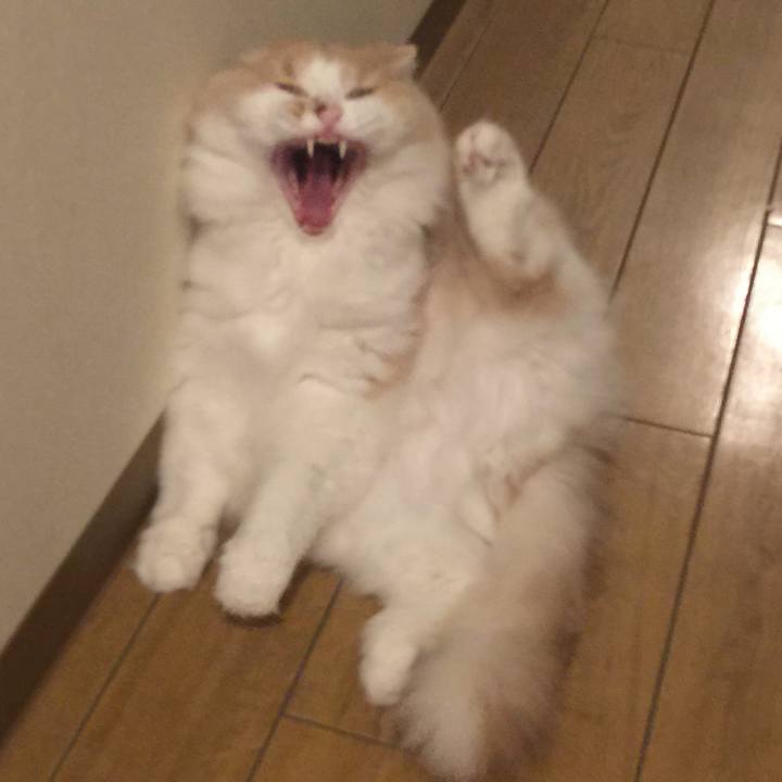 3665b20b 392b 4bfe ba0d c3e971bafabd 1535799409332