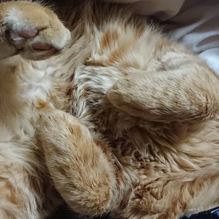 36667cdc b91c 4f15 b937 5c43b21b098f 1638198720649