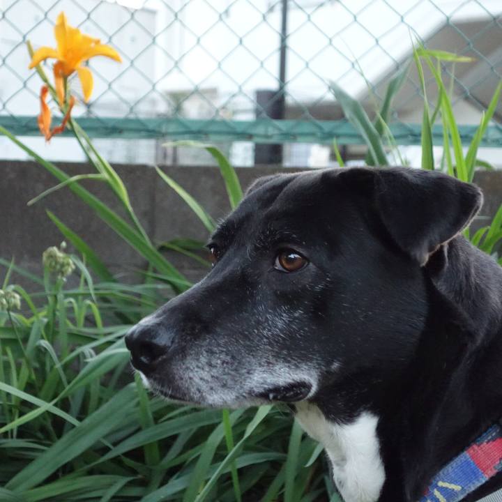 3666839a 6208 4b1a 911d f84e9255e1de 1716981183521