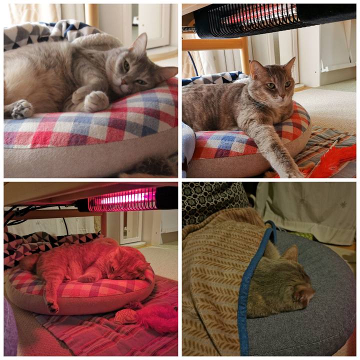 36669b2a 49b6 496a aac5 76166a2143fd 1634525254662