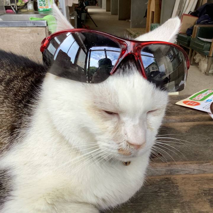 3666e34e 4315 42f2 b325 2134ccc5ba10 1622965000647