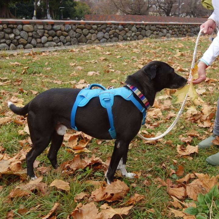 36675472 81b5 4f37 8307 9019a2502464 1636331426277