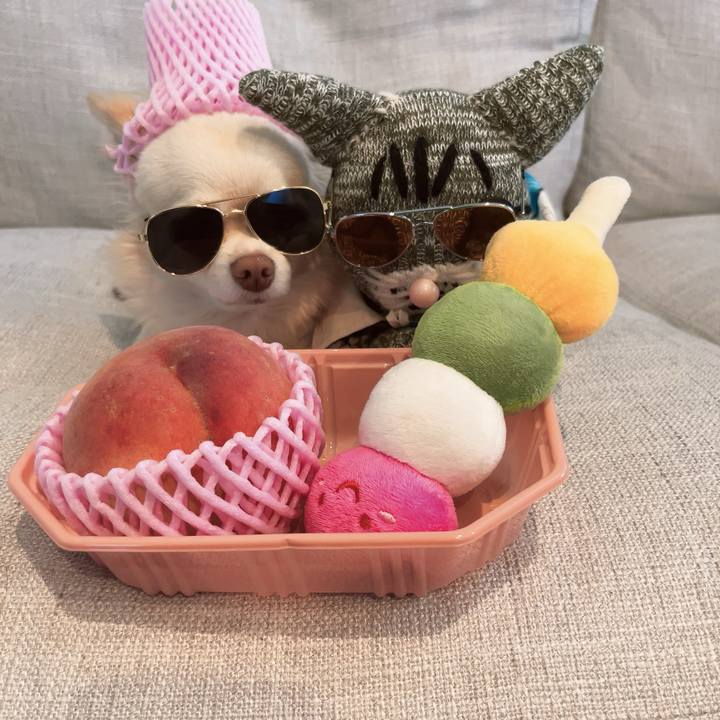 36675a16 1c73 44d8 8c31 af7a987b45a3 1691310869831