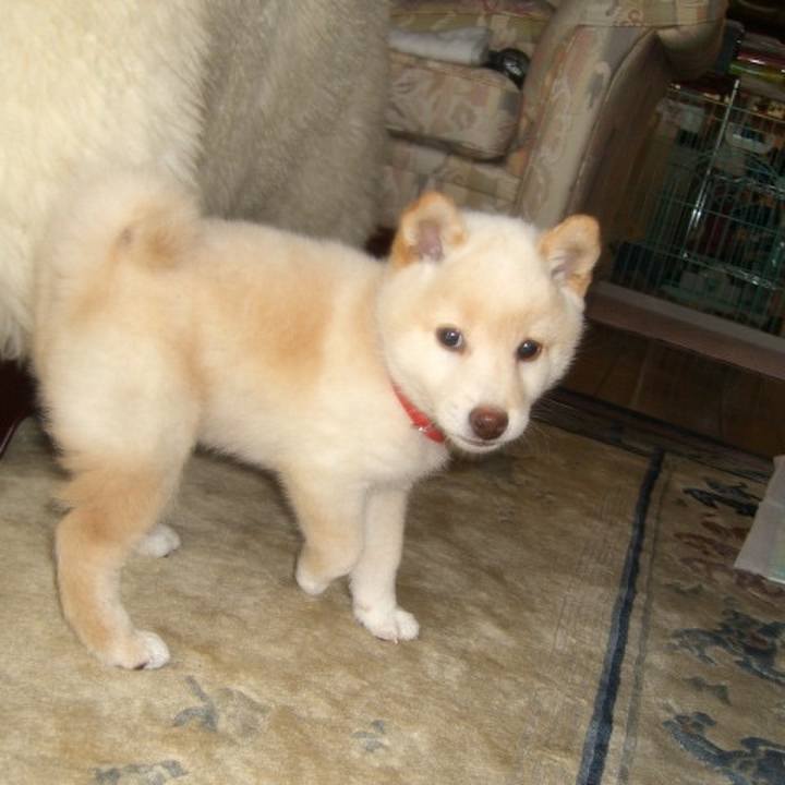 3667722f a71b 4ad8 b13b 585358d2d154 1637589908145