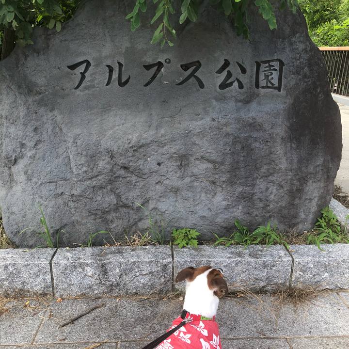 36678af9 f863 4f91 81c0 e46f1bb7f3f0 1596263403477