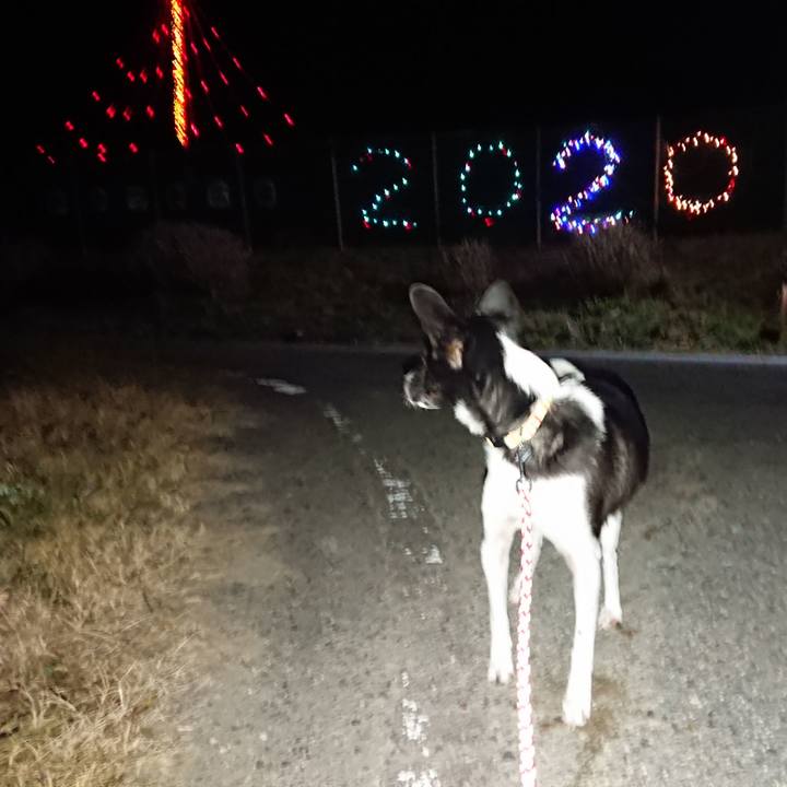 36679b07 3bc4 4038 b08c d6731676061c 1576494874346