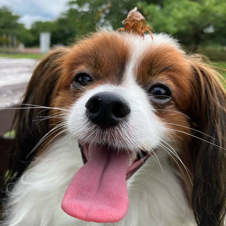 3667a2f3 abab 4e86 aaf6 5306be0bb82a 1723532662804