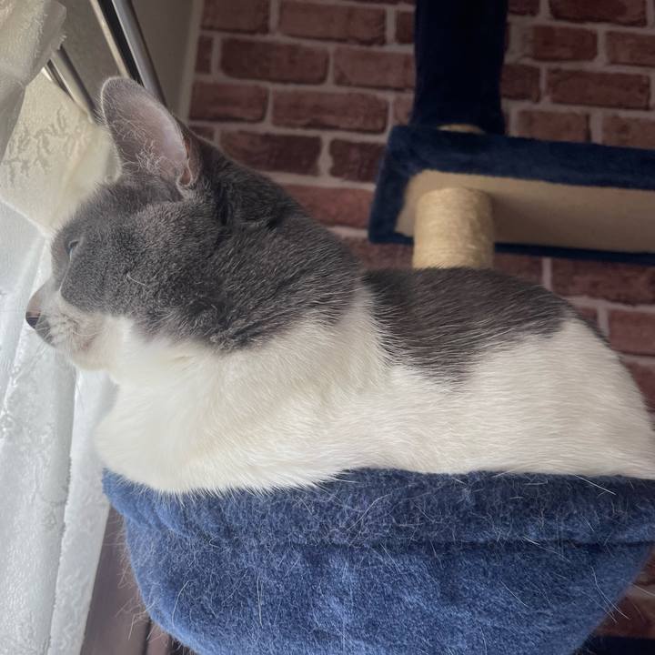 3667c711 b817 4f0d a632 337f98374878 1650841920868