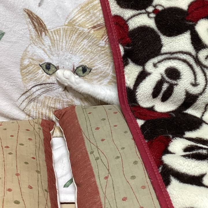 3667e222 9d9c 468d bcfe b48e4d8bbca6 1675338430681