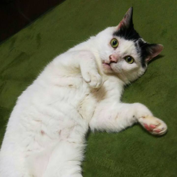 36681967 bf9b 421c b90a 74c5f28439ad 1566556258352