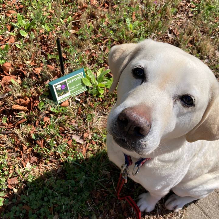 36682151 cf56 4236 ab5b a56ed10dce3a 1742559404189