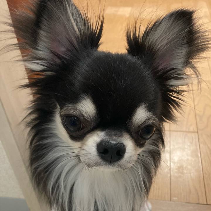 36683d40 9220 416f b11e 5aa1e0487ae2 1614382694261