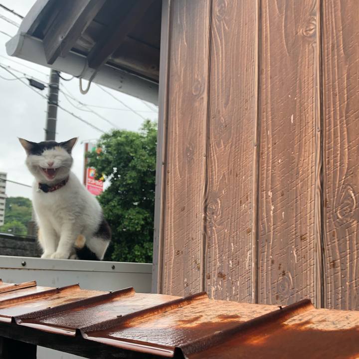 36685164 b956 4eb6 af9f 8c09a14f3020 1621076256803