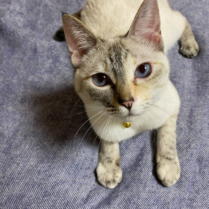 3668ddb8 802d 44c0 bd2a 75cafaf7232c 1653567333995