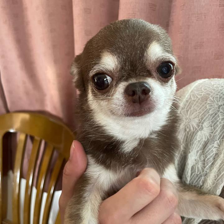 366967e0 60d6 4f69 8f1d bff8722ece59 1757835339026