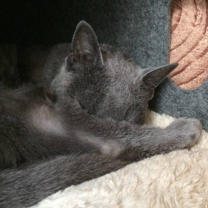 3669c102 c64b 4a59 a3aa 5e8a14c89c56 1545950567612