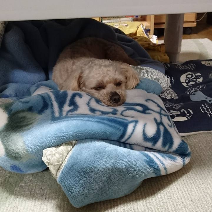 3669f840 8dbb 4b52 97a1 9a4bc33db691 1587385648292