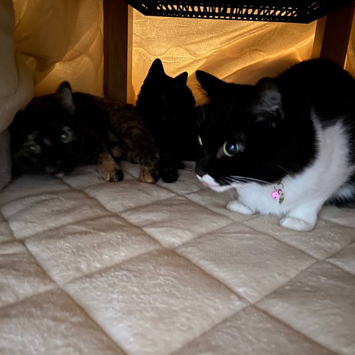 366a0b65 b829 4d62 9846 b41f2e3f42c1 1635170998801