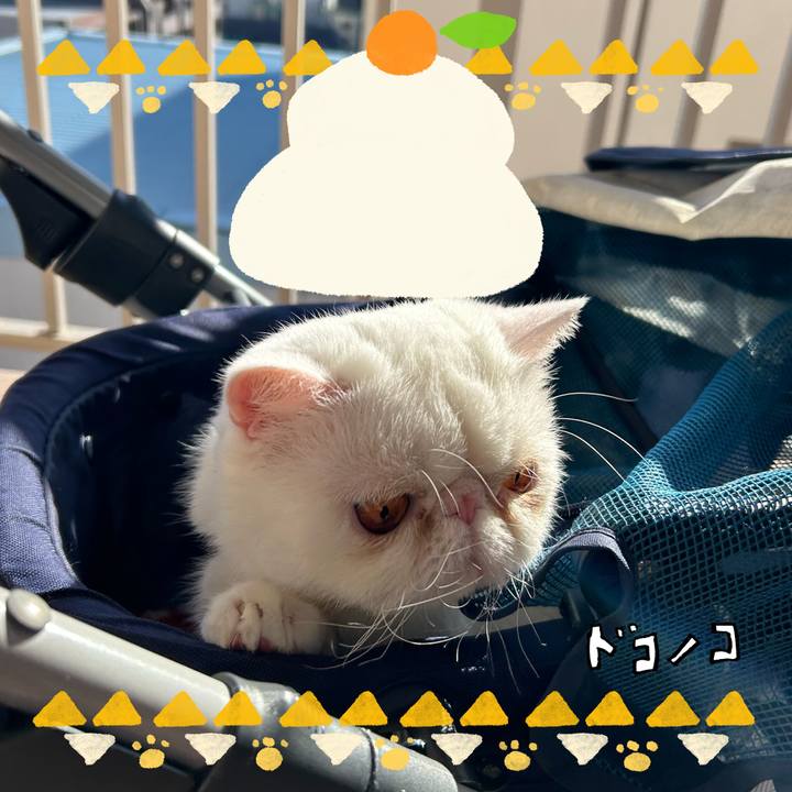 366a2f1f b442 4833 bb24 f5ddd1fbd589 1704084137435